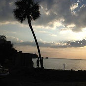 Tracy Hamon's photo