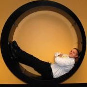 David A's photo