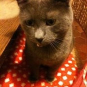 Sema Ünsal's photo