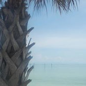 Karen Schellinger's photo