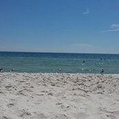 Sylvia Thomet's photo