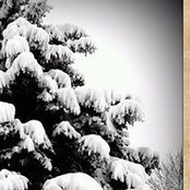 Sheila Griggs's photo