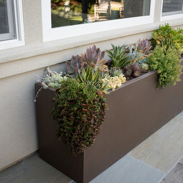 Intimate contemporary Garden
