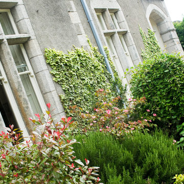 Private Residents in Bray