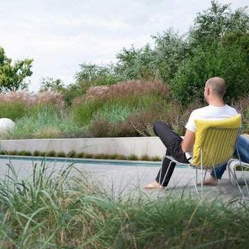 Dune garden in The Netherlands
