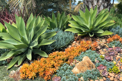 Design ideas for a coastal landscaping in San Diego.