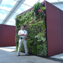livingwalls