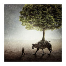 Art Prints