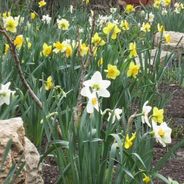 Spring Gardens
