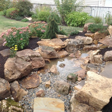 Dog Friendly Landscape