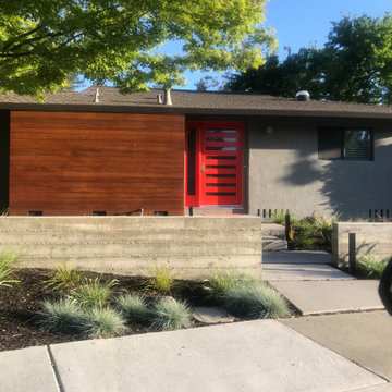 Ynez Mid Century Modern Rancher