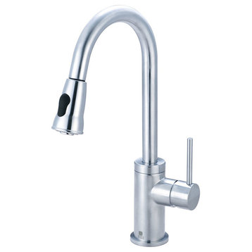 Motegi Single Handle Pull-Down Kitchen Faucet, Stainless Steel
