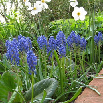 Traditional country garden