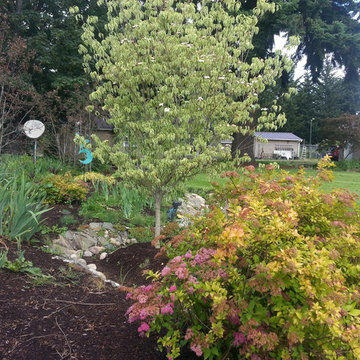 Before & After Master Gardener Landscape Makeover Lawn Reduction & Rain Gardens