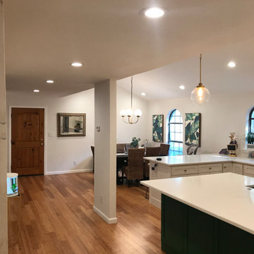 Kitchen/ Dining Room Update in conservation district
