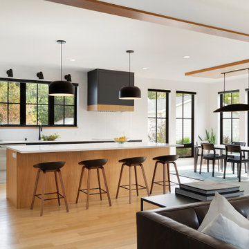 Modern Tudor