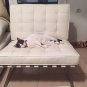 κωνσταντίνος γράψας's photo