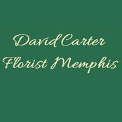 David Carters foto