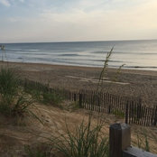 Rachel Fair's photo