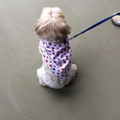 Pamela Janecek's photo