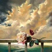 Amira Monir's photo