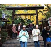 Maggie Wong's photo