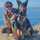 webuser_562387667