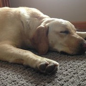 Susan COLEMAN's photo