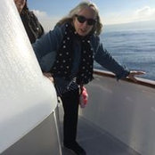 Foto von Judy Hayner