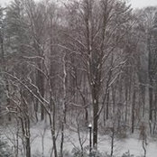 MaryScott Woolard's photo