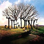 Julius Dings foto