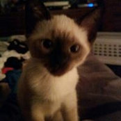 Gretchen Miller's photo
