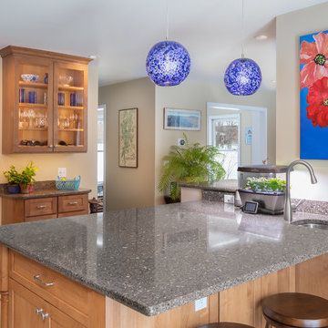 Kitchen/ Dining /Great Room Remodel