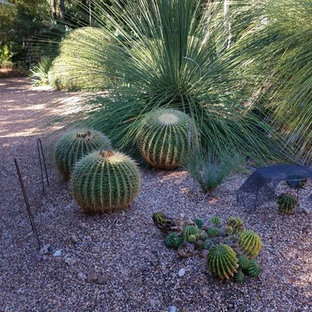 Design ideas for a large and desert look backyard full sun xeriscape for summer in Houston with gravel.