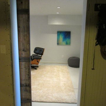 Media room / basement finish