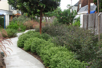This is an example of a large coastal drought-tolerant side yard walkway in San Diego for summer.