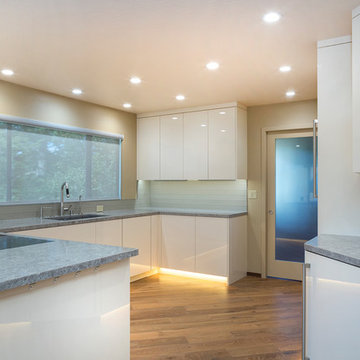 Lafayette Ultra-Modern Kitchen
