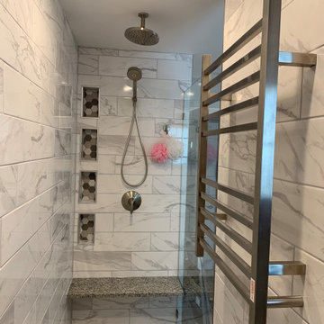 Basement/Bathroom Remodel