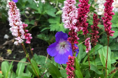 Garten in Edinburgh