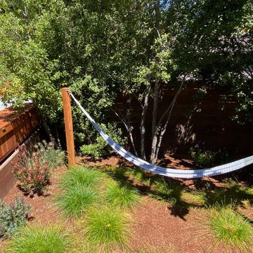 Landscape Renovation and Lawn Replacement - Mill Valley, CA