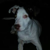 Peggy Wilkum's photo