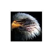 Peggy Possin's photo