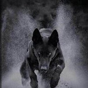 Adolfo Salas's photo