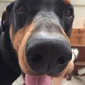 Kathie Boehnemann's photo