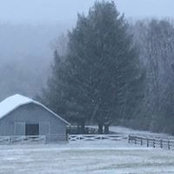Wanda Huffman's photo