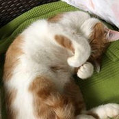 Simon Rieder's photo