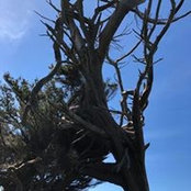 Sherry Johnson's photo