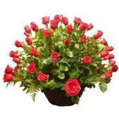 Blanca G de Canavati's photo