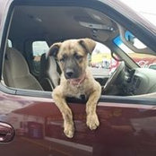 Anthony Wenham's photo