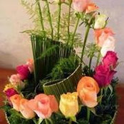 Aziza Marakchi's photo